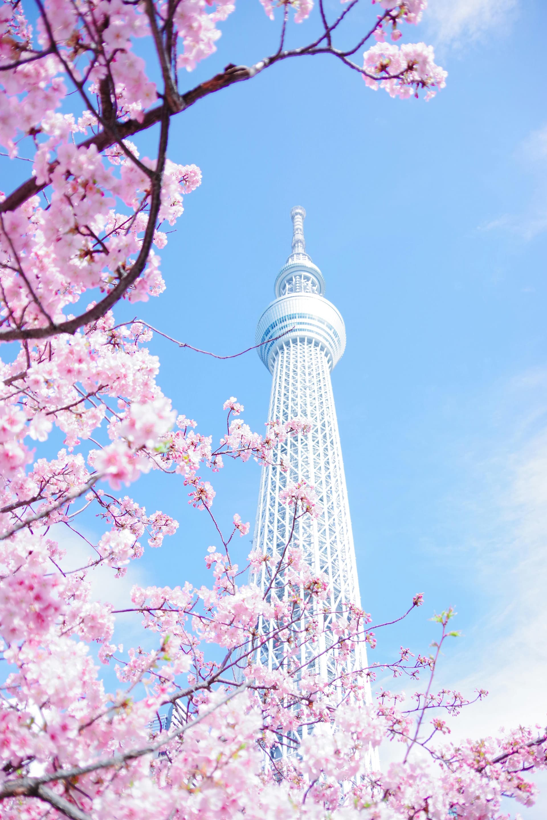 Tokyo, Japan